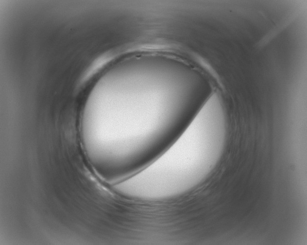 X0000082971456200702011130