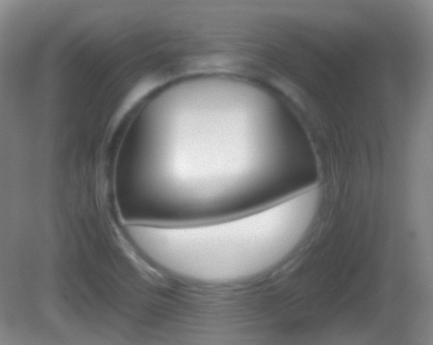 X0000082971458200702011130
