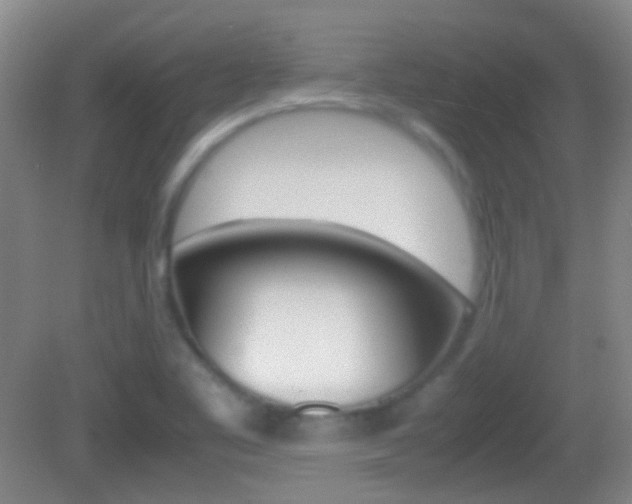 X0000082971461200702011130
