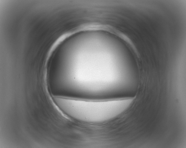 X0000082971472200702011130