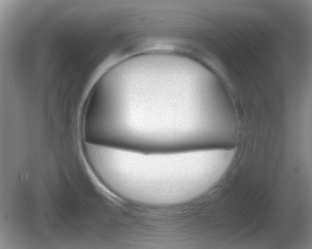 X0000082971475200702011130