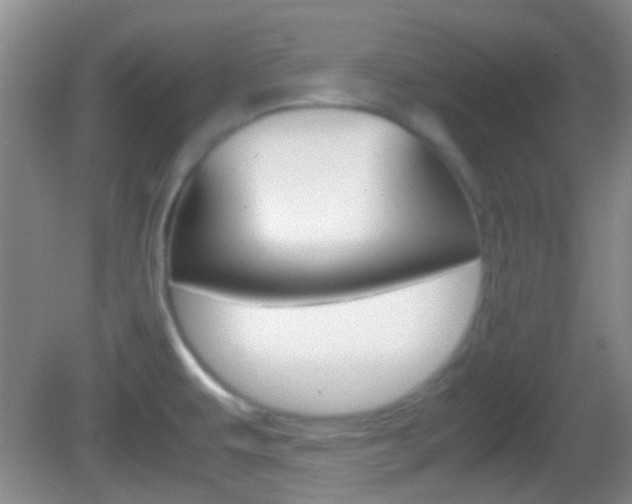 X0000082971479200702011129