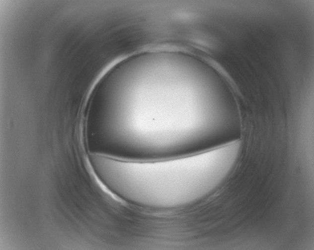 X0000082971484200702011129