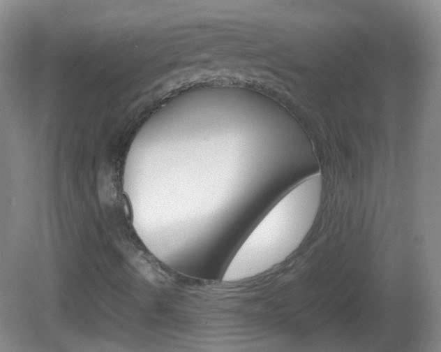 X0000082971490200702011129