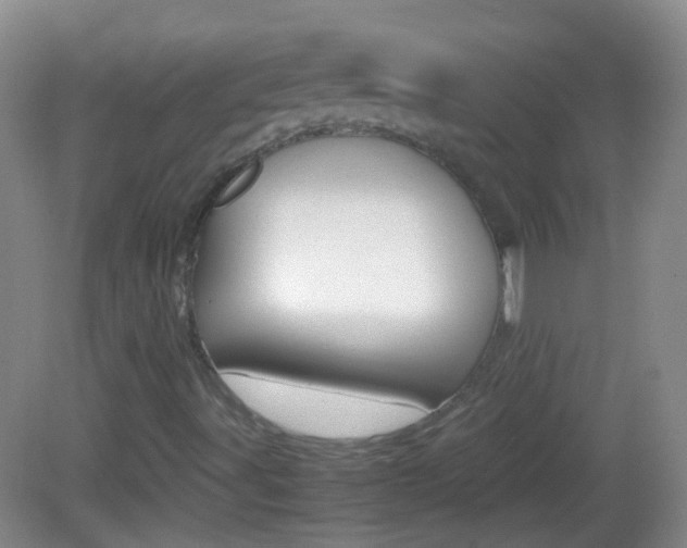 X0000082971491200702011129