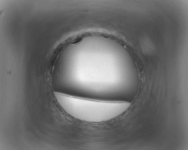 X0000082971495200702011129