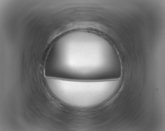 X0000082971497200702011129