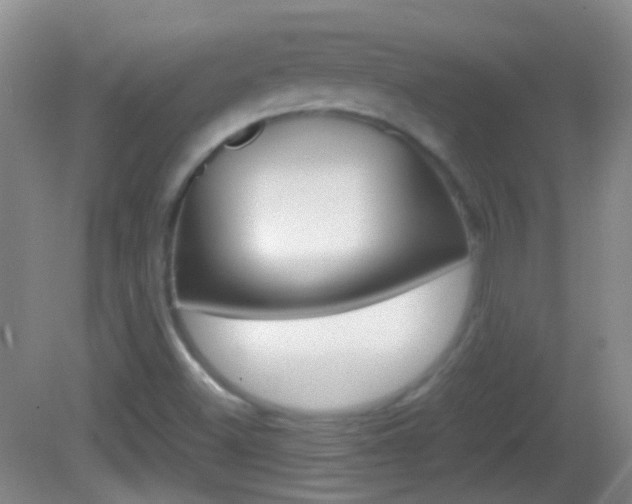 X0000082971500200702011129