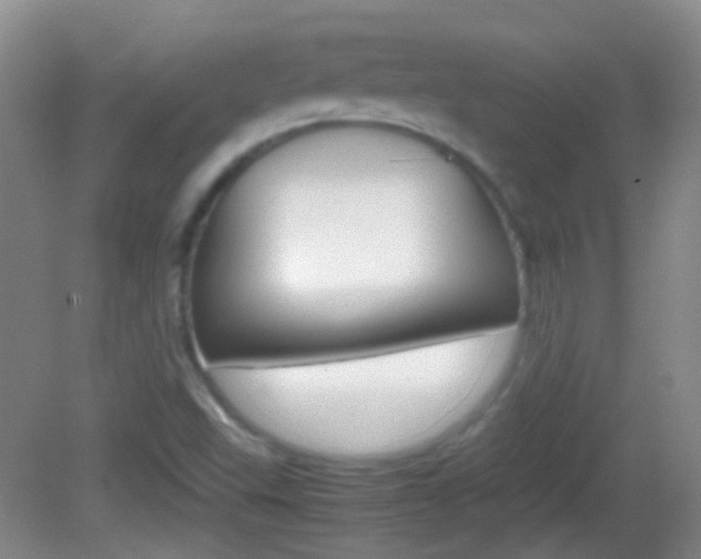 X0000082971503200702011129