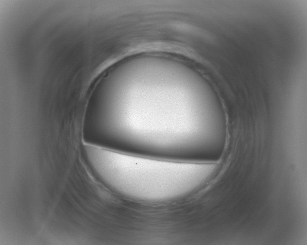 X0000082971505200702011129