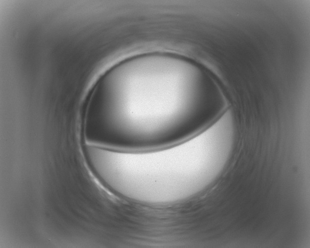 X0000082971508200702011129