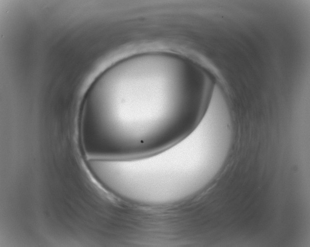 X0000082971512200702011129