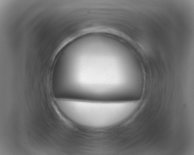 X0000082971513200702011129