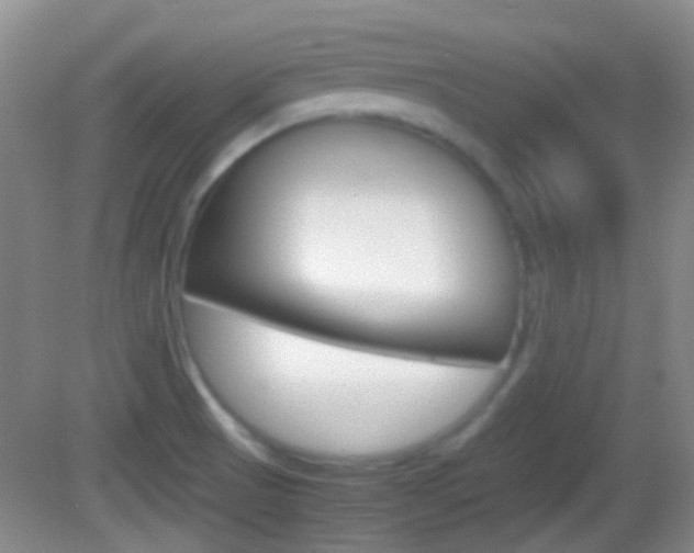 X0000082971521200702011129