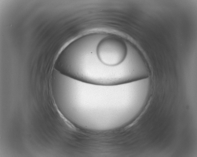 X0000082971529200702011129