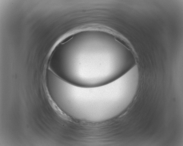 X0000082971530200702011129