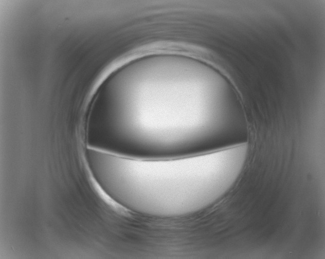 X0000082971531200702011129