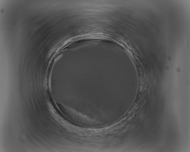 X0000082970002200702011410