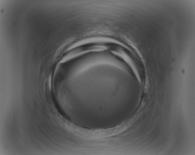 X0000082970019200702011409