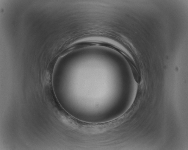 X0000082970025200702011409