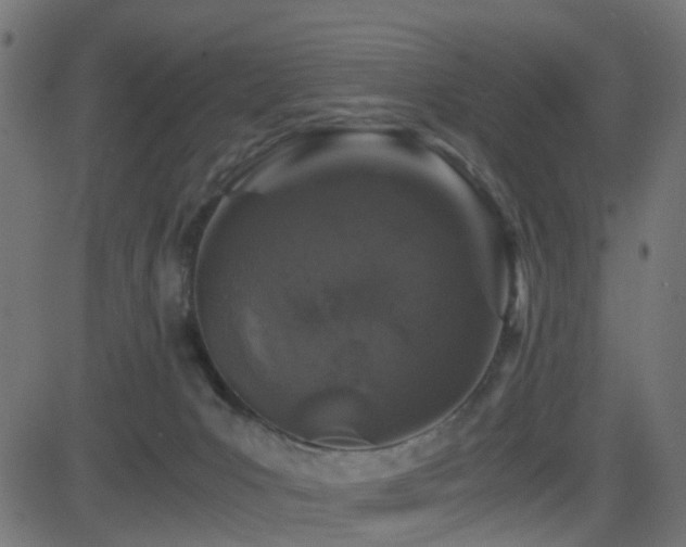 X0000082970031200702011409