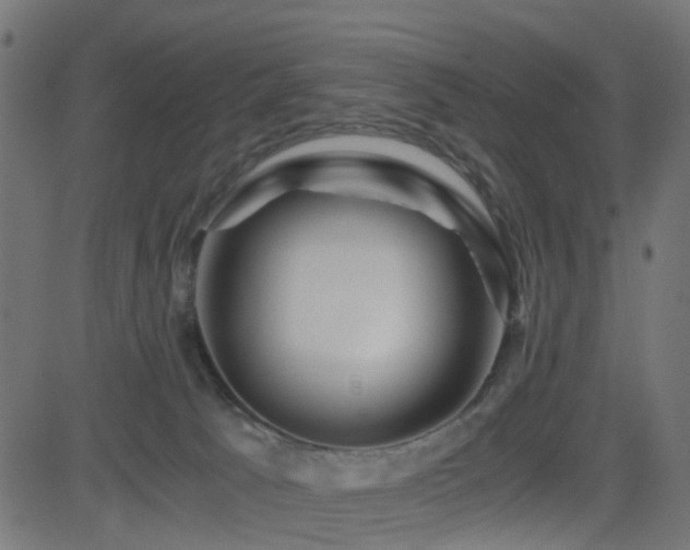 X0000082970033200702011409