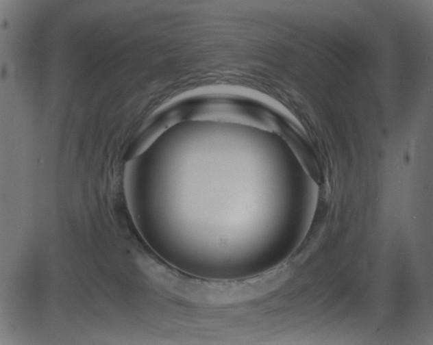 X0000082970037200702011409