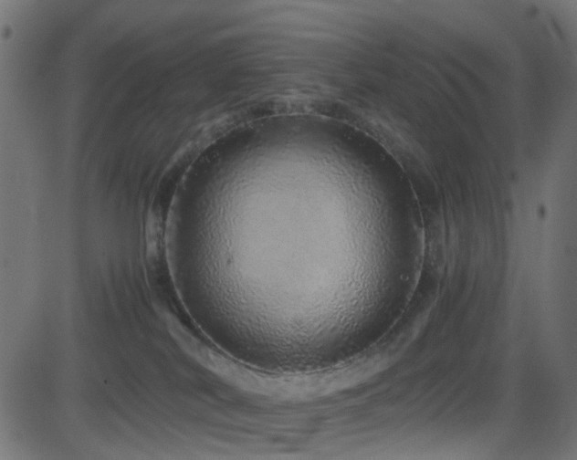 X0000082970038200702011409