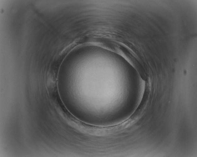 X0000082970040200702011409