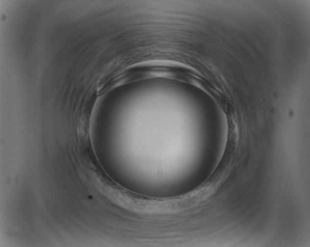 X0000082970044200702011409