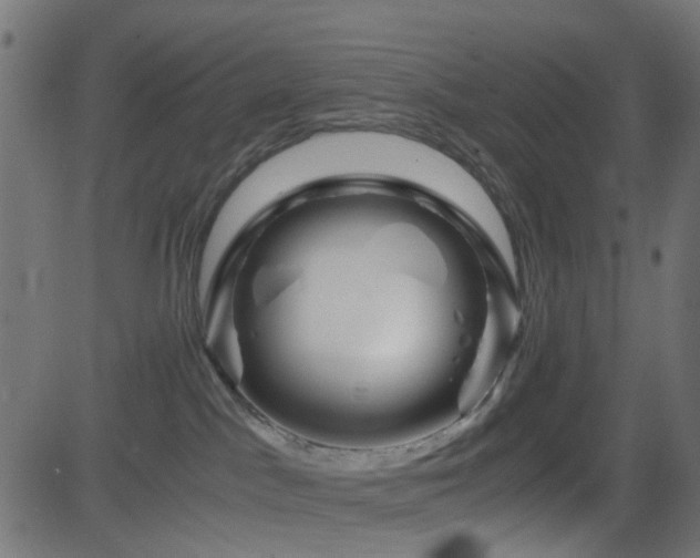 X0000082970045200702011409