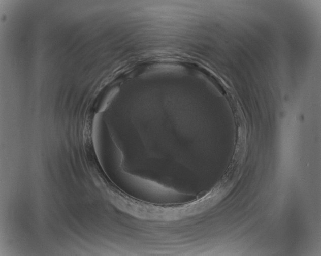 X0000082970048200702011409