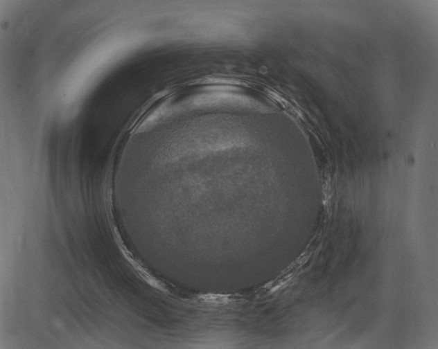 X0000082970052200702011408
