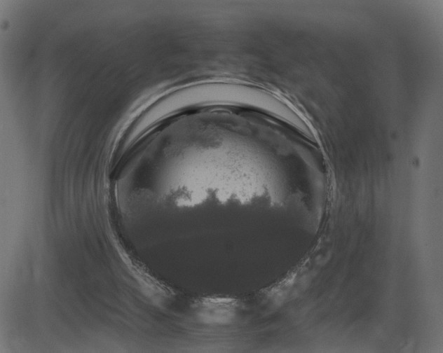 X0000082970055200702011408