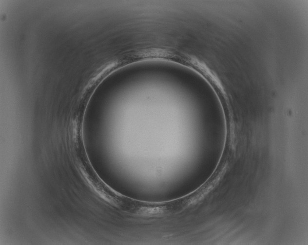 X0000082970057200702011408