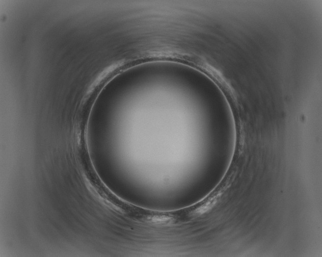 X0000082970060200702011408