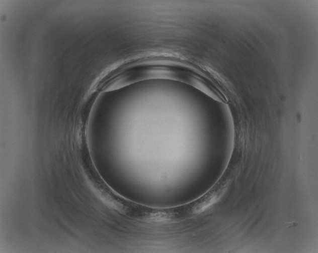 X0000082970064200702011408