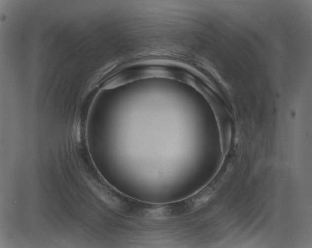 X0000082970068200702011408