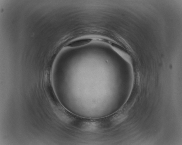 X0000082970071200702011408