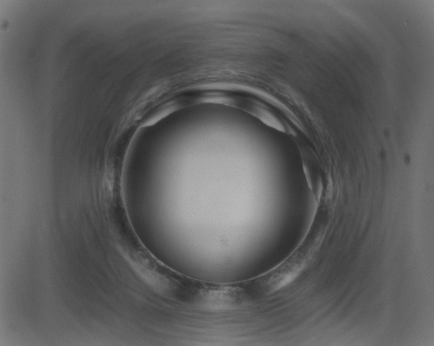 X0000082970072200702011408