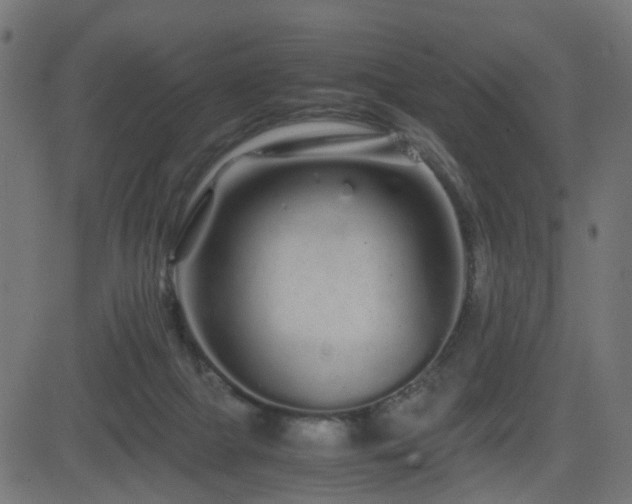 X0000082970073200702011408
