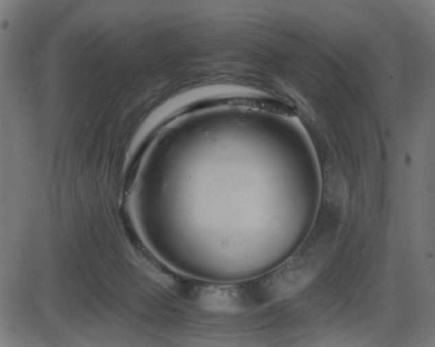 X0000082970077200702011409