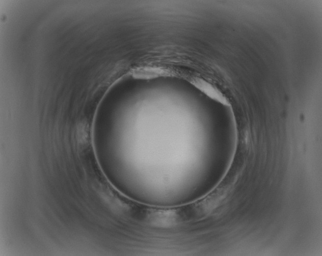 X0000082970081200702011409
