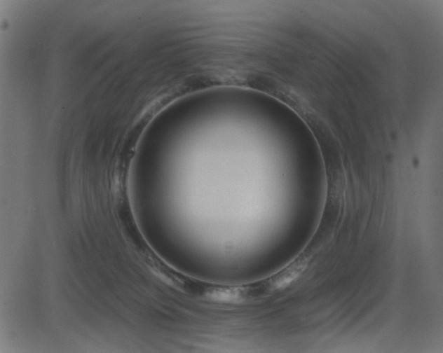 X0000082970084200702011409