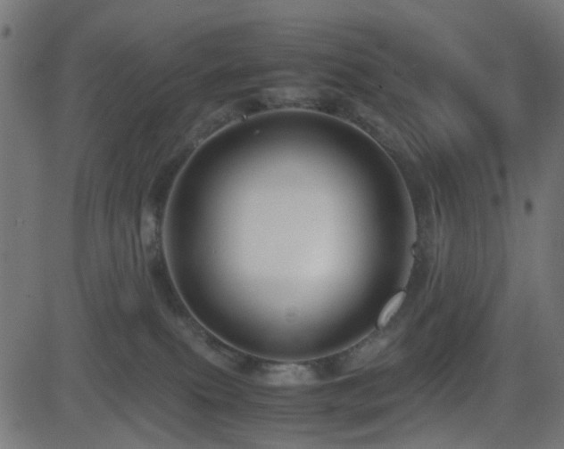 X0000082970087200702011409