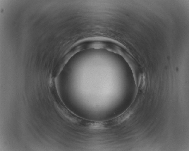 X0000082970088200702011409