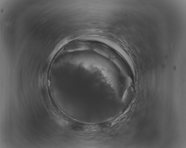 X0000082970099200702011408