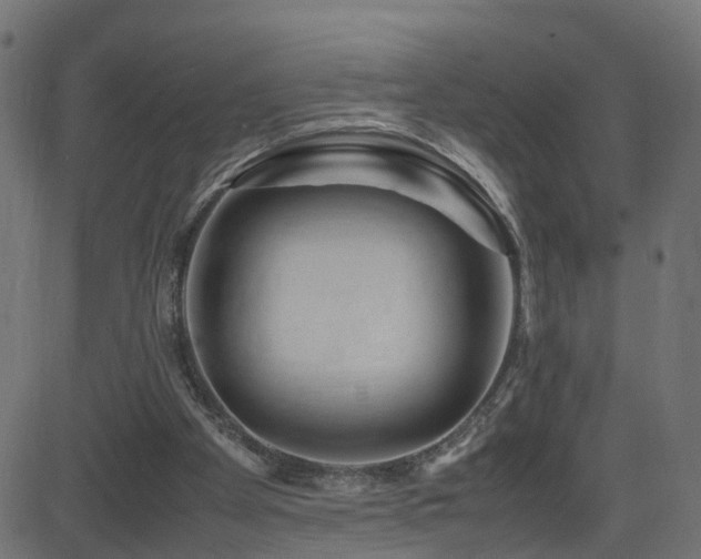 X0000082970105200702011408