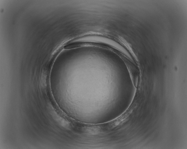 X0000082970106200702011408