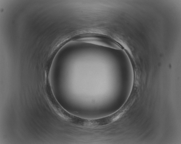 X0000082970109200702011408